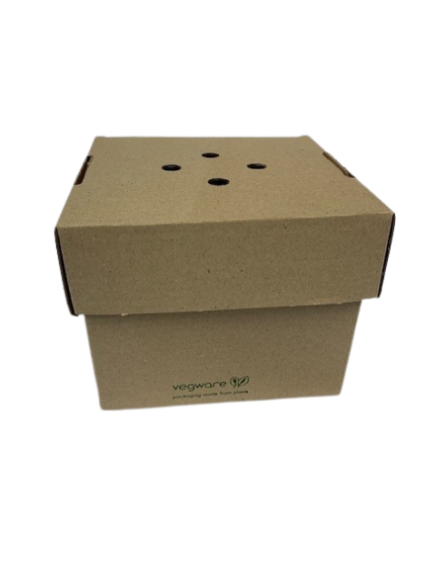 vegware kraft burger box