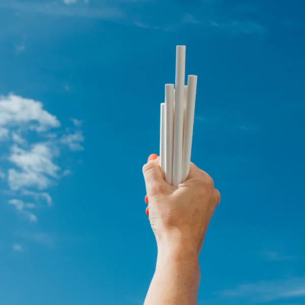 Decent Packaging White Paper Straws